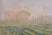 Claude Monet Meadow with Poplars France oil painting artist